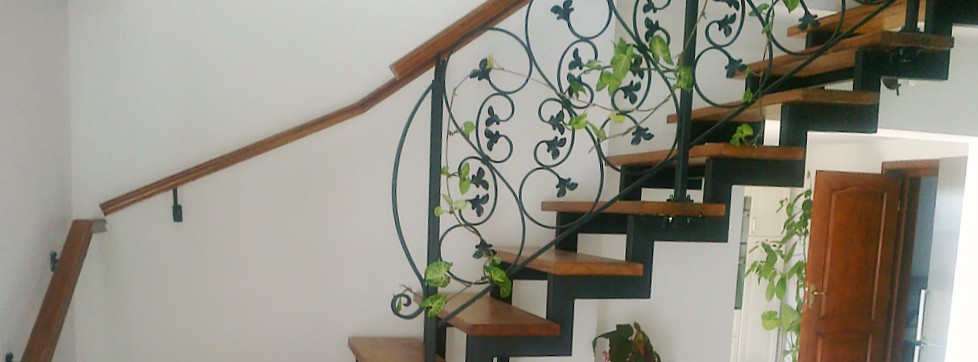 scari-interior.jpg